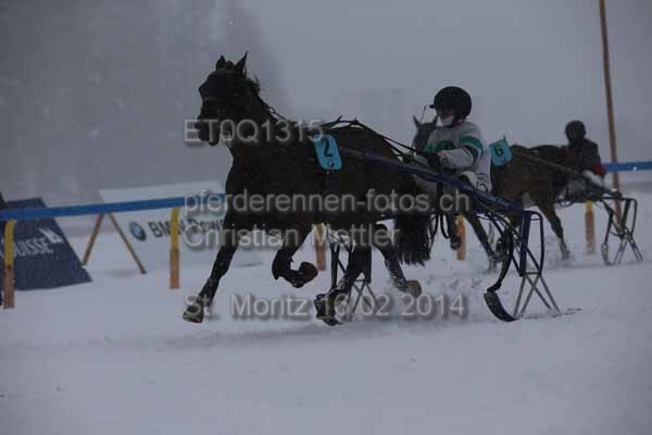 ET0Q1315 prot